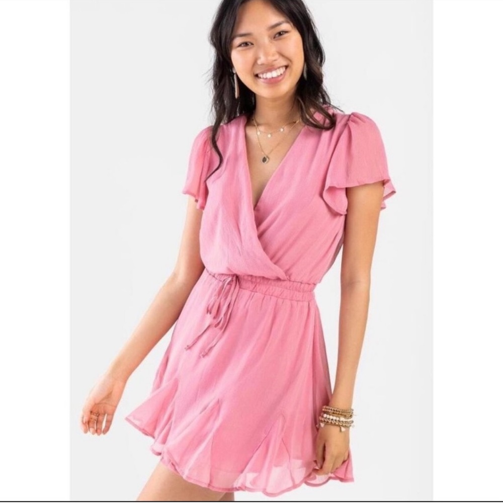 Francesca's Large NWT Gianne Godet Dress pink flowy